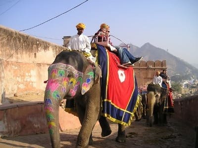 Best of North India Tour